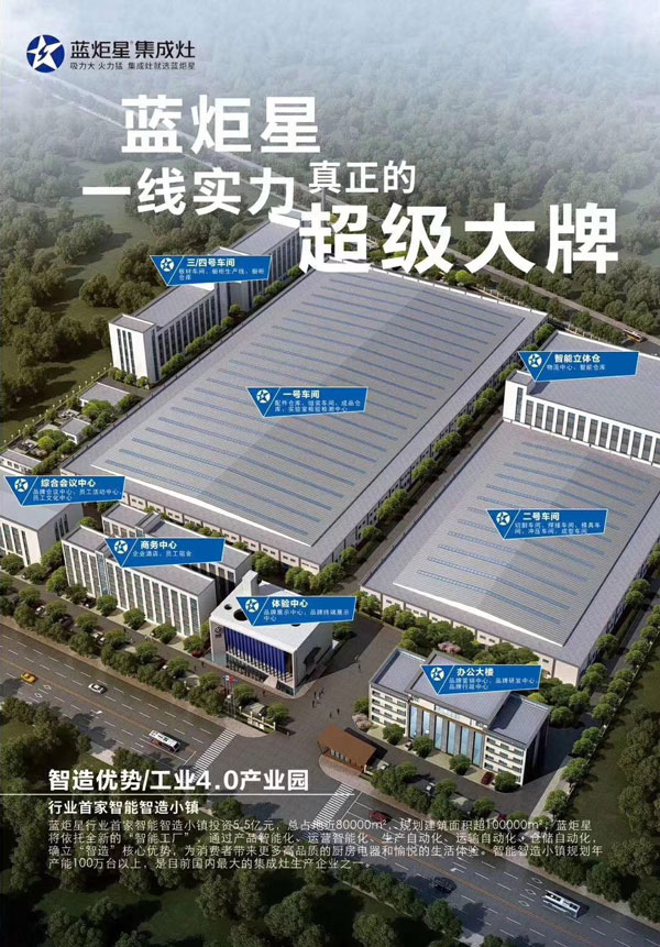 (杏盛平台三大电商平台，线上线下一起发力)