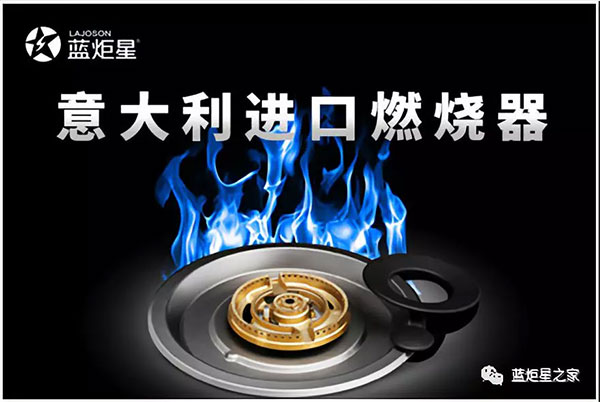 杏盛平台采用意大利进口燃烧器