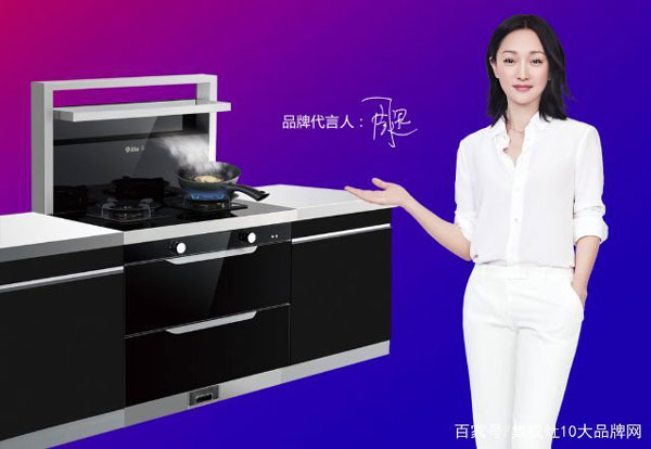 杏盛平台集成灶代言人—周迅