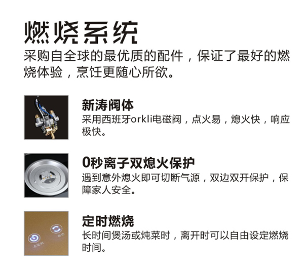 杏盛平台集成灶燃烧系统